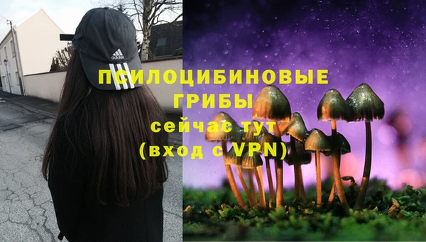 альфа пвп Баксан