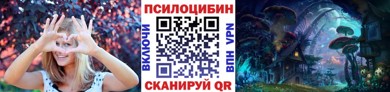 omg darknet официальный сайт Псилоцибиновые грибы мицелий Вяземский